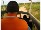 6 Day Gorillas in PNV and Culture in Mgahinga