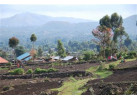 6 Day Gorillas in PNV and Culture in Mgahinga