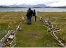 The Patagonia: The Mountain Splendor of Paine and Fitzroy and the Whales of Peninsula Valdés