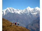 Trekking the Curzon's Trail and the Kuari Pass