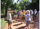 Explore the Natural Beauty of Australia in this 17-Day Historical & Cultural Adventure