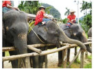 Southern Thailand Sojourn