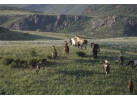 Wyoming Family | Yellowstone/Teton