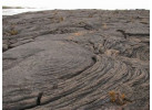 Ecuador's Galapagos Islands (Ecological wonderlands of the Galapagos Islands) - Tour Length: 8 Days