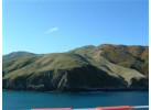 South Island Adventure in New Zealand: A Hiker’s Dream Journey in Nature’s Wonderland