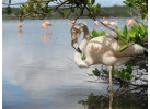 Ecuador's Galapagos Islands (Ecological wonderlands of the Galapagos Islands) - Tour Length: 8 Days