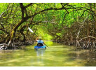 Palau Snorkeling and Sea Kayaking: Experience the Natural History Paradise of the Rock Islands