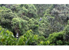 16 Days Costa Rica Adventure