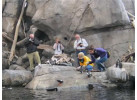 Alaska's Kenai Peninsula Adventure