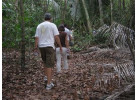Brazil: 10-Day Cultural Experience