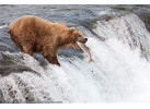 Executive Fishing and Wildlife Safari