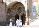 Discover Classic Italy for 14 Days