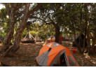 Kilimanjaro Machame Climb & Safari