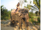 Southern India In Depth: 18-Day Ethnic and Cultural Adventure