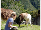 In The Shadow Of Machu Picchu: 10-Day Trekking & Cultural Adventure
