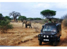 Tanzanian Culture and Wildlife Adventure