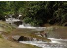 Wild & Ancient China