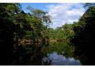 Spend 5 Days Exploring the Amazon of Ecuador