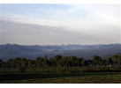 8 Day - Gorillas in the Virungas and Bwindi 
