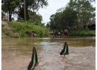 Roam Cambodia & Vietnam