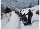 Alaska's Kenai Peninsula Adventure