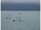 South Island Adventure in New Zealand: A Hiker’s Dream Journey in Nature’s Wonderland