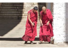 Laya Settlements and Ghasa Trekking Adventure of Bhutan