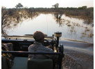 South African Safari and Victoria Falls