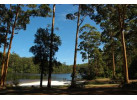 Bibbulmun Track