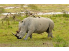African Culture And Wildlife Viewing on Addis to Zanzibar Adventure