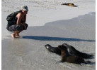 Ecuador's Galapagos Islands (Ecological wonderlands of the Galapagos Islands) - Tour Length: 8 Days