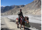 The Kingdom of Mustang 
