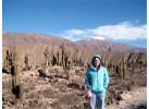The Cordilleras (35 Days) Lima to Santiago