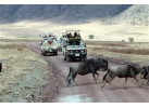 The Micato Grand Safari: The Pinnacle of Luxury Safari Adventure
