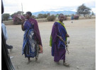 Serengeti: The Ultimate Safari Experience