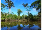 Amazon Riverboat Adventure: 9-Day River Cruise & Wildlife Adventure