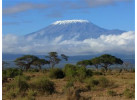 Mt Kilimanjaro - Marangu Route Trek