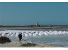 Sicily: Agrigento, Marsala & The Isle of Mozia 