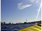 ActiVino! Paddle & Wine