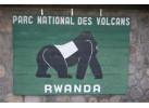 12 Day - Classic Uganda and Rwanda