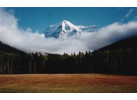 Alaska's Kenai Peninsula Adventure