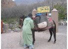 Atlas to the Atlantic - Morocco Family Adventure