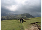 Trekking the Curzon's Trail and the Kuari Pass
