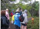 The Patagonia: The Mountain Splendor of Paine and Fitzroy and the Whales of Peninsula Valdés