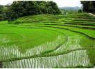 Roam Southeast Asia: 16 Days Trek Through Thailand