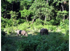 Himalayan Adventure - Nepal Family Holiday 