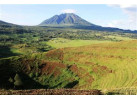 6 Day Gorillas in PNV and Culture in Mgahinga