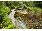 Alaska Family | Kenai Peninsula