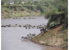 The Hemingway Wing Safari: 14 Days Exploring the Old Africa in Style