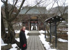 See the Famous Snow Monkeys of Japan